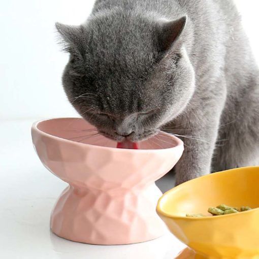 Bol en céramique pour chat, en forme de demi-sphères texturées et surélevées