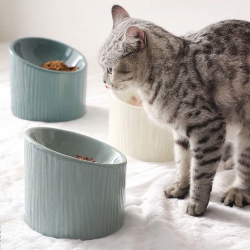 Bols en céramique surélevés "cylindre" avec un chat à côté