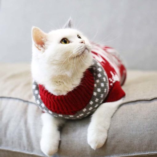 Tee-shirt, pull d'hiver en tricot – Image 10