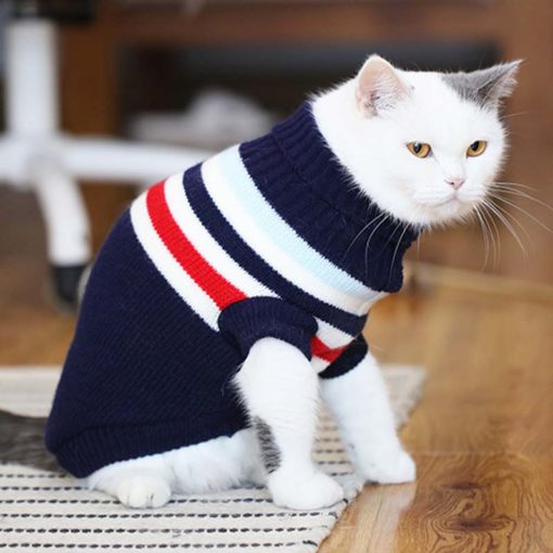 Tee-shirt, pull d'hiver en tricot