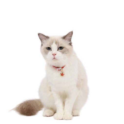 Collier imprimé fleurs et étoiles avec clochette - Image 3