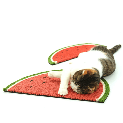 Tapis à gratter pastèque – Image 10