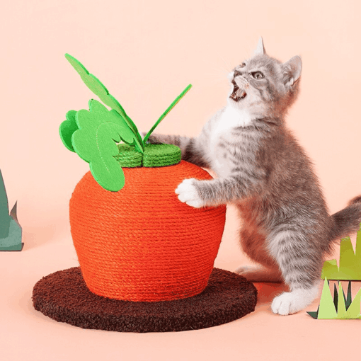 Griffoir mignon en forme de carotte – Image 5