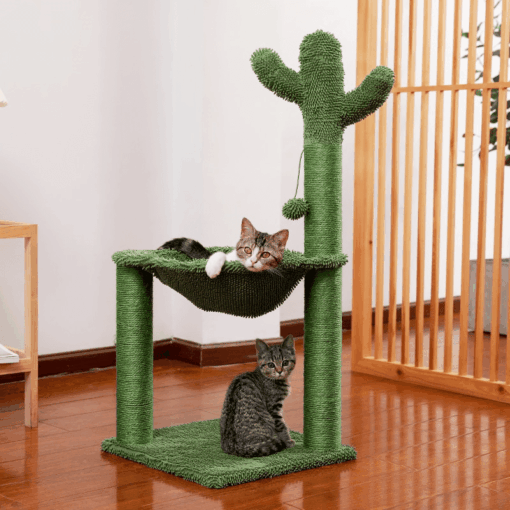 Tour d'escalade cactus avec hamac