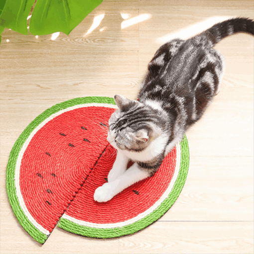 Tapis à gratter pastèque – Image 3