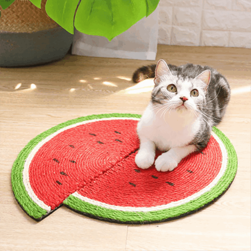 Tapis à gratter pastèque – Image 9