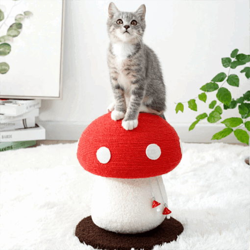 Griffoir en forme de champignon – Image 14