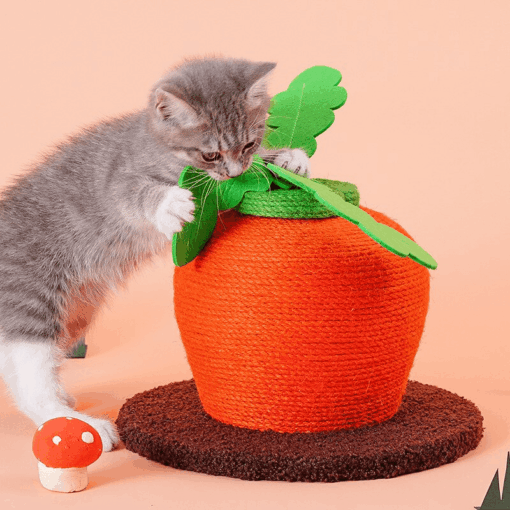 Griffoir mignon en forme de carotte