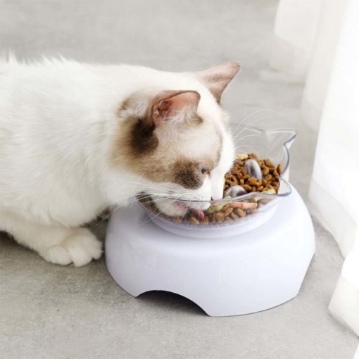 Bol surélevé à alimentation lente