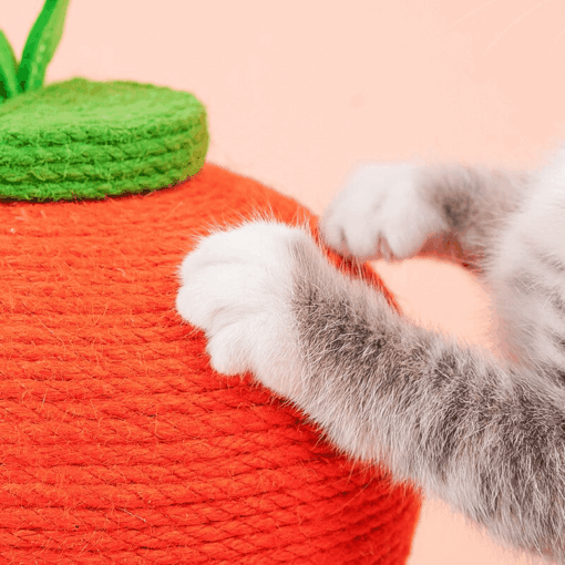 Griffoir mignon en forme de carotte – Image 3