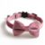 Rose nœud papillon