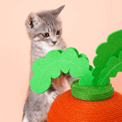Griffoir mignon en forme de carotte – Image 4