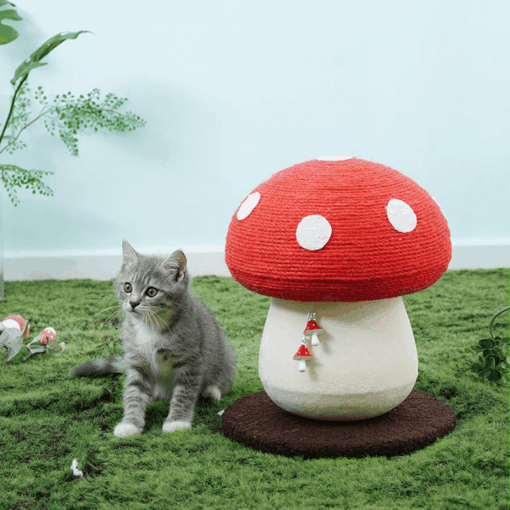 Griffoir en forme de champignon – Image 7
