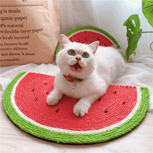 Tapis à gratter pastèque – Image 6