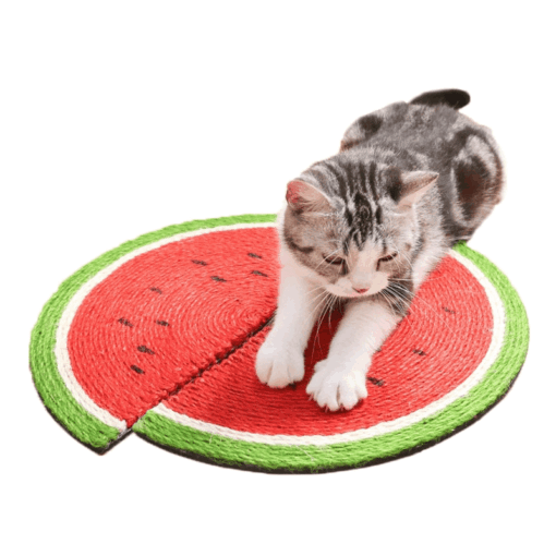 Tapis à gratter pastèque – Image 11