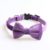 Violet nœud papillon