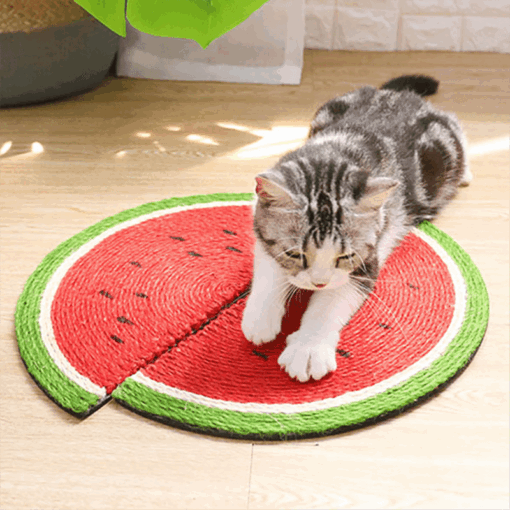 Tapis à gratter pastèque