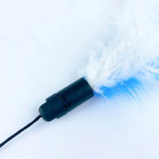 Bâtonnet interactif électrique et télescopique avec plume – Image 2