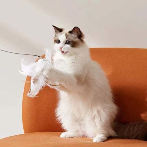 Jouet baguette avec plume, avec support ou à la main – Image 5