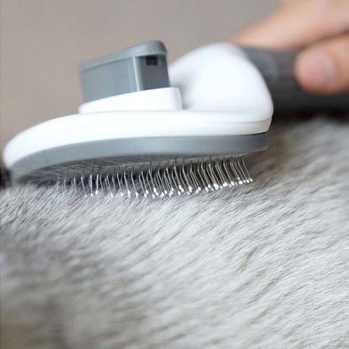 Brosse de toilettage ovale ergonomique – Image 8